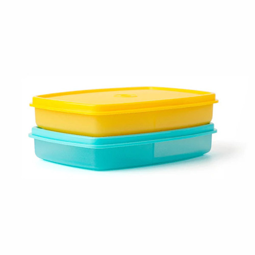 Plastic Lunch Box - Color: Multicolor