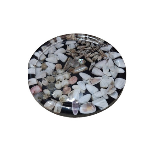 Seashell Craft