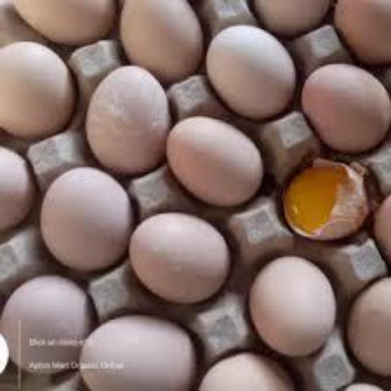 country chicken eggs
