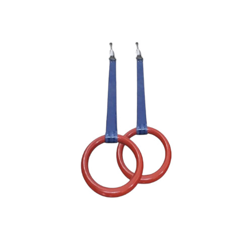 Gymnastic Roman Rings