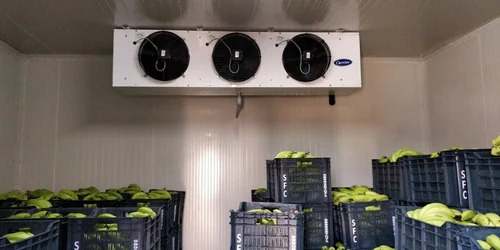 Ripening Chamber - Advantage: All