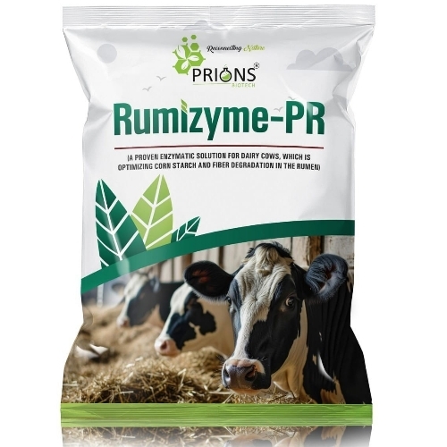 Rumizyme Pr Cattle Feed Supplement