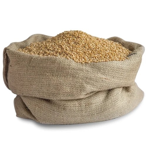 Wheat Grain
