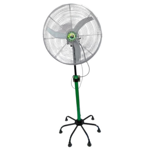 Bldc Pedestal Fan