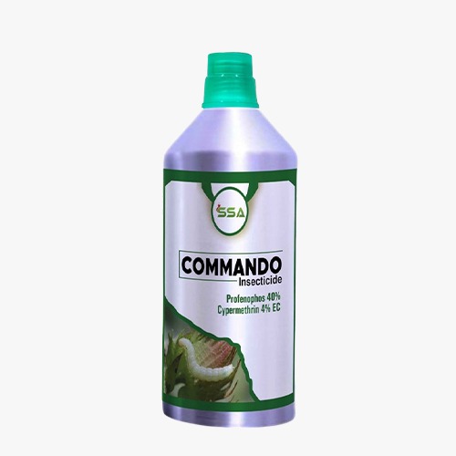 Commando 