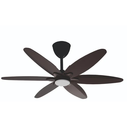 Designer Ceiling Fan