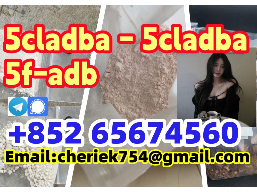 first-rate, attractive and reasonable price High purity 99% white Powder  