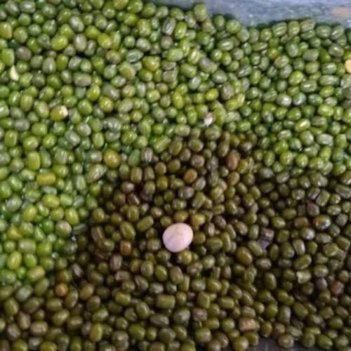Green Moong Dal