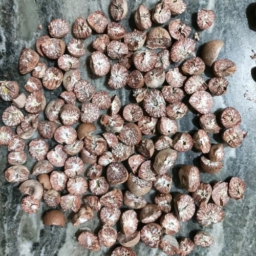 Gutkha Supari Betel Nut