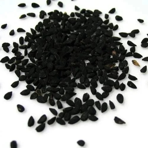 Nasik Red N53 Onion Seeds