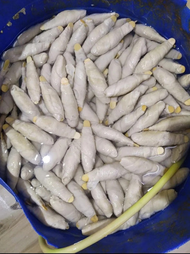 Frozen Soya Chaap - Packaging: Bulk