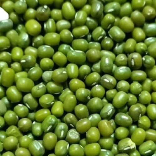 Moong Daal Seeds