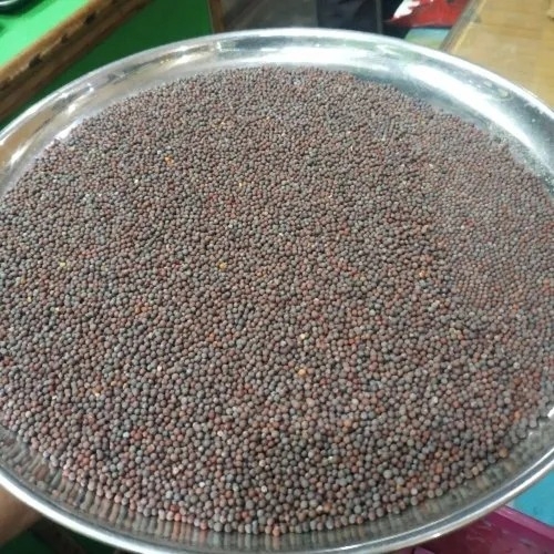 Mustard Seeds