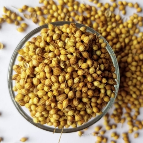 Whole Coriander Seeds
