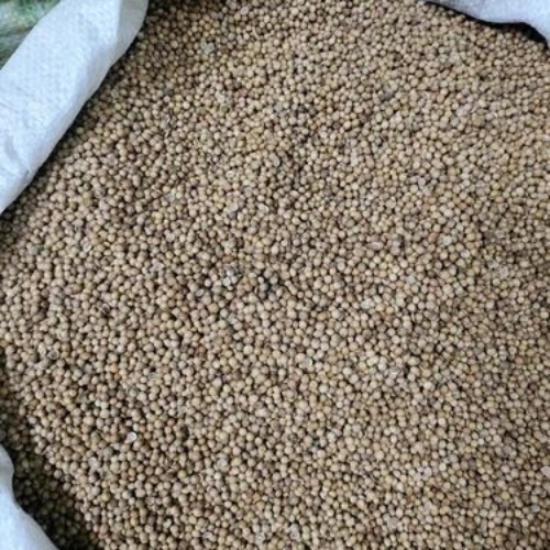 A Grade Coriander Seeds