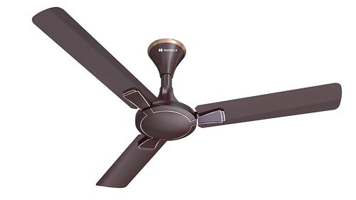Ceiling Fans