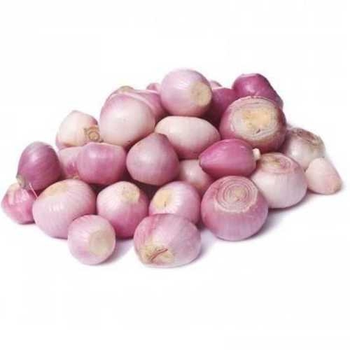 Fresh Onion