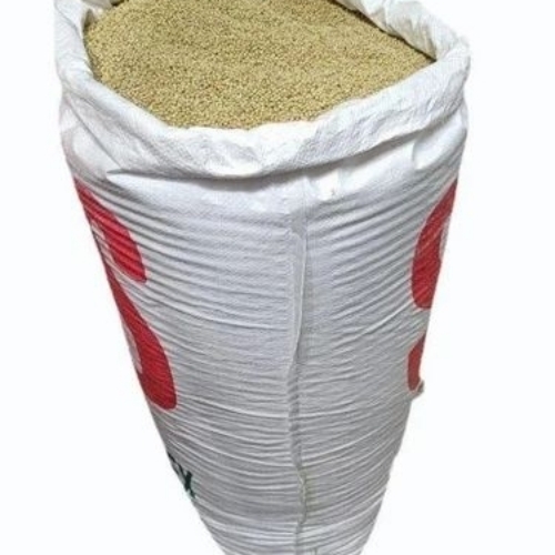 Hybrid Coriander Seed
