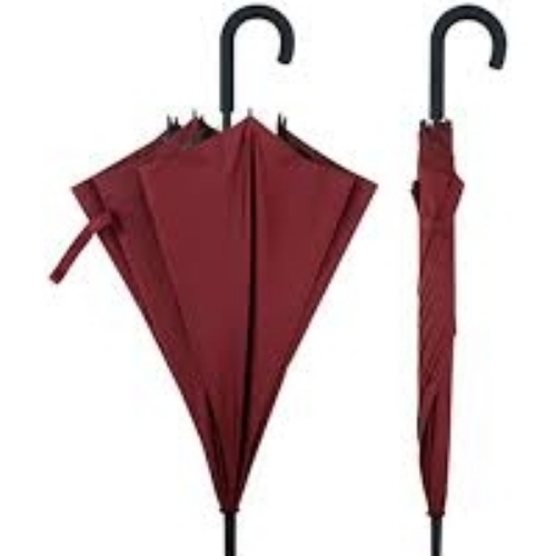 Umbrella 
