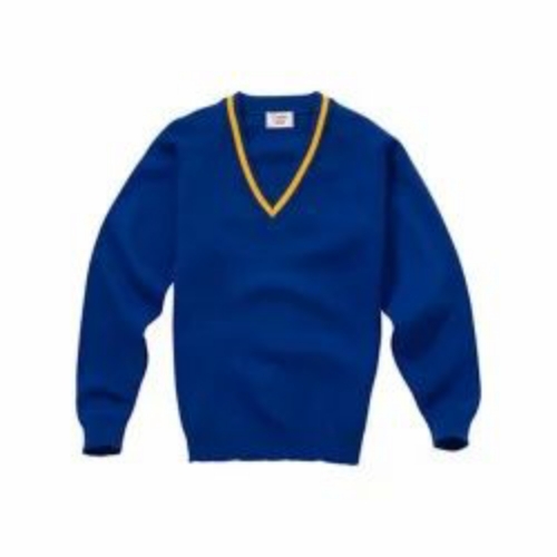 Boys School Uniform Sweaters