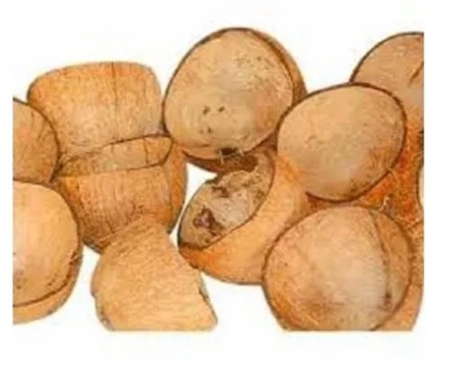 Brown Coconut Shell