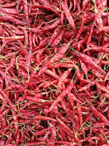 Dry Red Chilli
