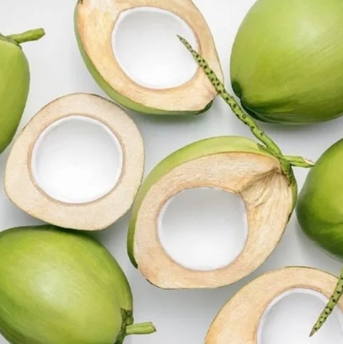 Fresh Green Coconut