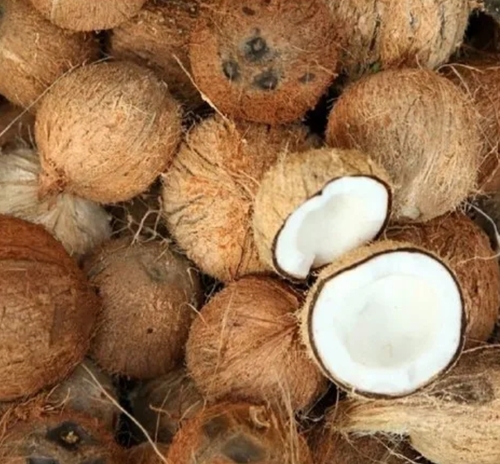 Pollachi Fresh Coconut
