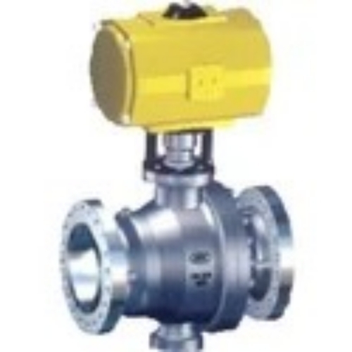 Trunnion Mounted Ball Valves               