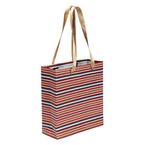 Carry Bags - Craft Paper Bag