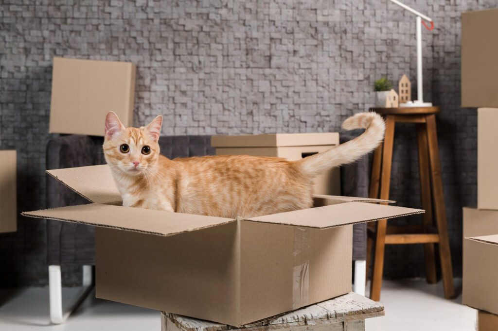 Pet Relocation Services