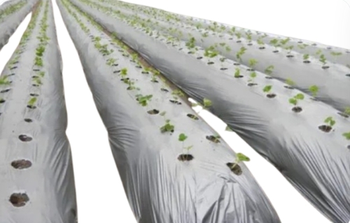 Mulching Film