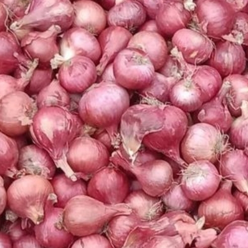 Pink Onion
