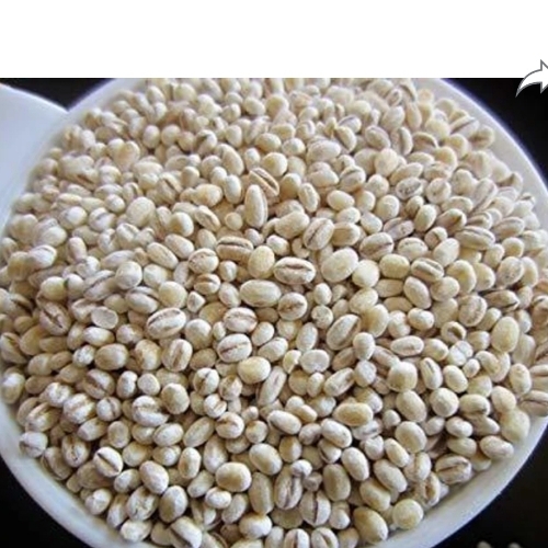 Barley Rice - Color: White