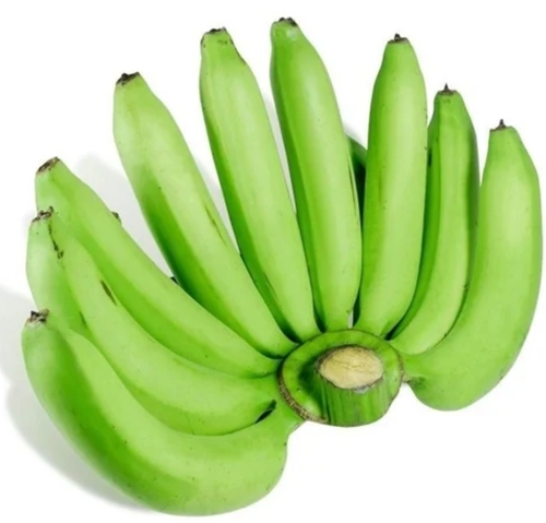 Cavendish Banana