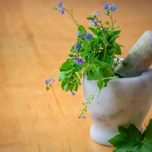 Herbal Powder 
