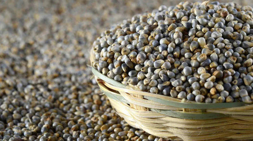 Bajra Seeds - Admixture (%): Yes