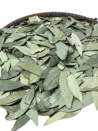 Bay Leaf