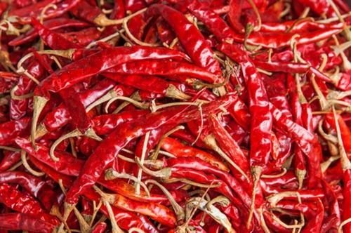 Dry Red Chilli