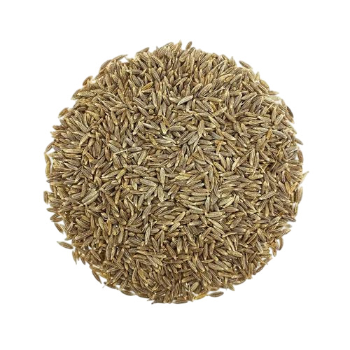 Organic Cumin Seed