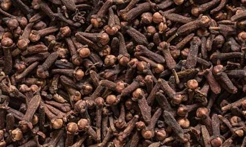 Organic Dry Clove - Color: Brown