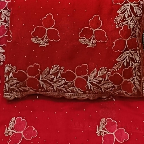 Ladies Red Saree