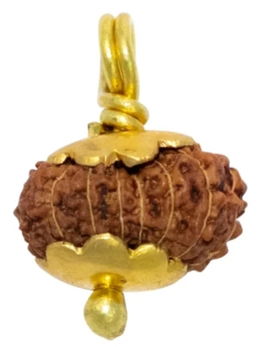 14 Mukhi Java Rudraksha