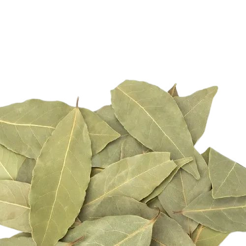 Bay Leaf
