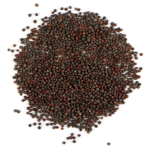 Black Mustard Seeds