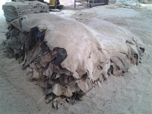 Dry Salted Buffalo Hides