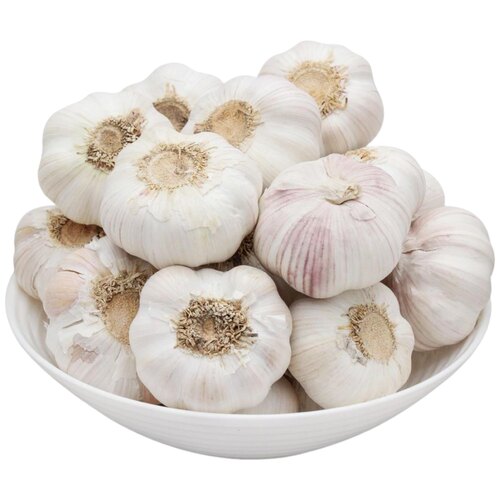 Fresh Garlic