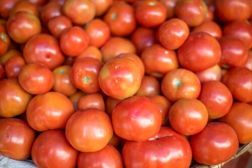 Fresh Tomatoes - Shape: All