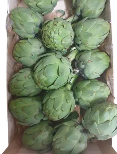 Fresh Artichoke