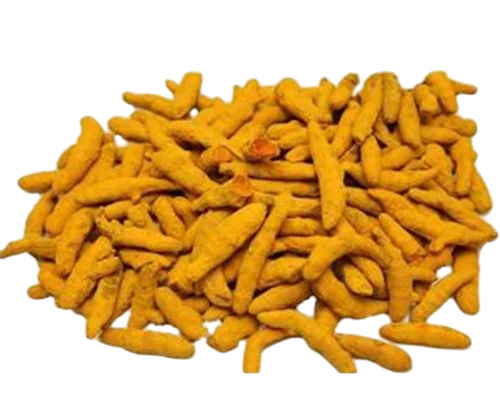 Organic Erode Turmeric Finger